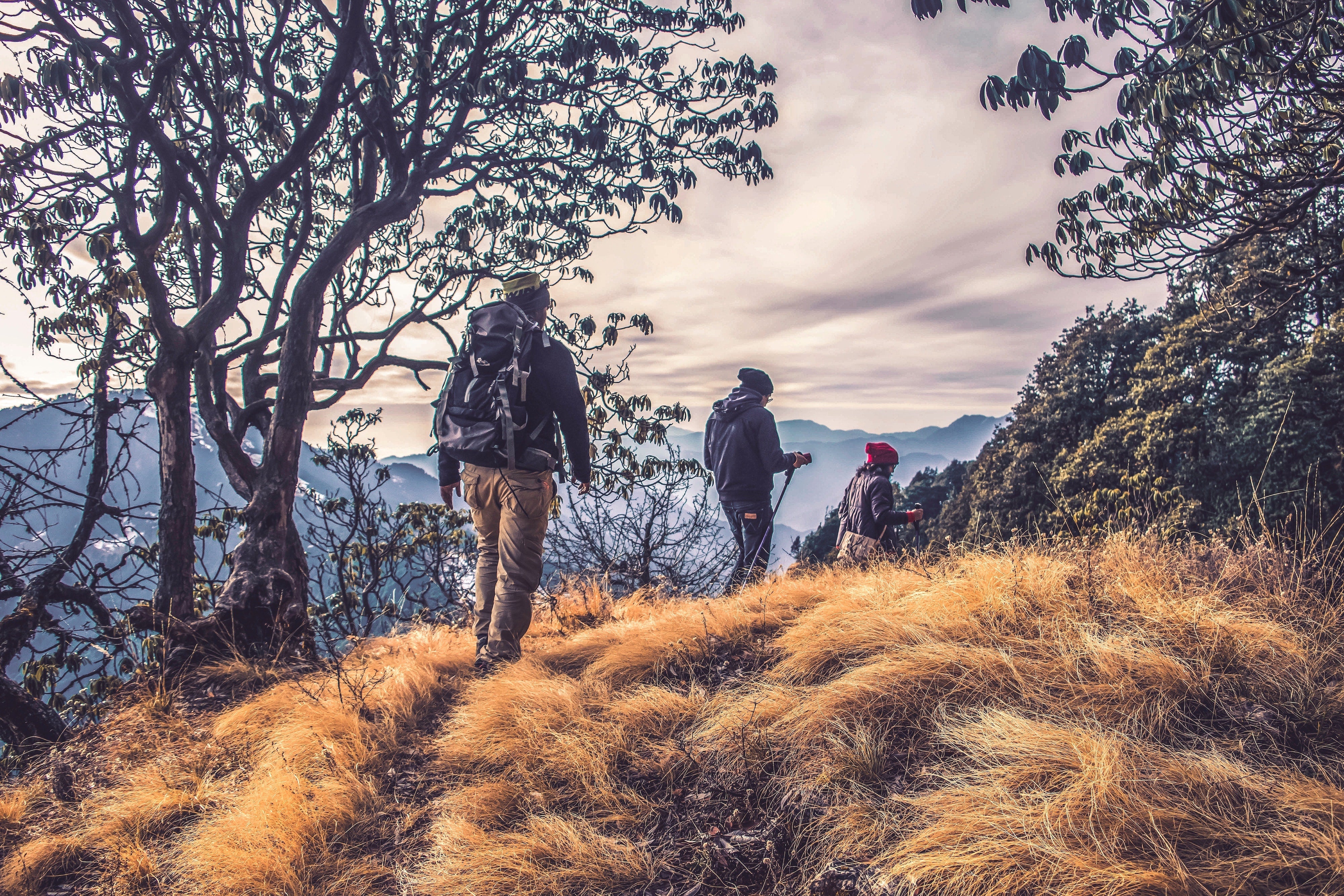 All You Need to Know About Hiking - Malo'o Racks