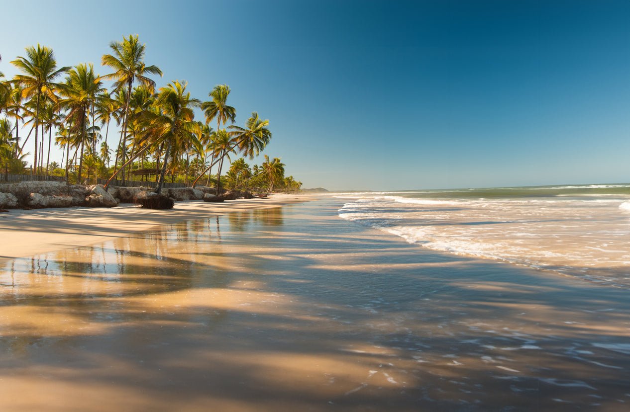 Crafting the Perfect Beach Day Gear List - Malo'o Racks