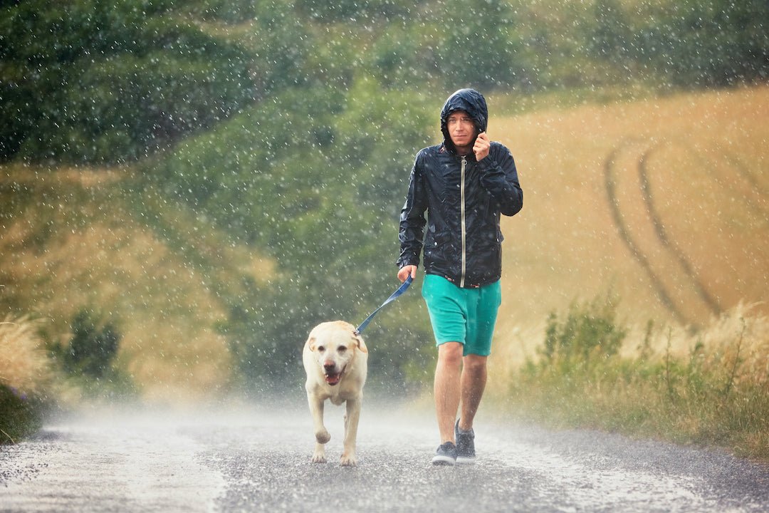 Discover the Perfect Waterproof Backpack Cooler for Camping - Malo'o Racks