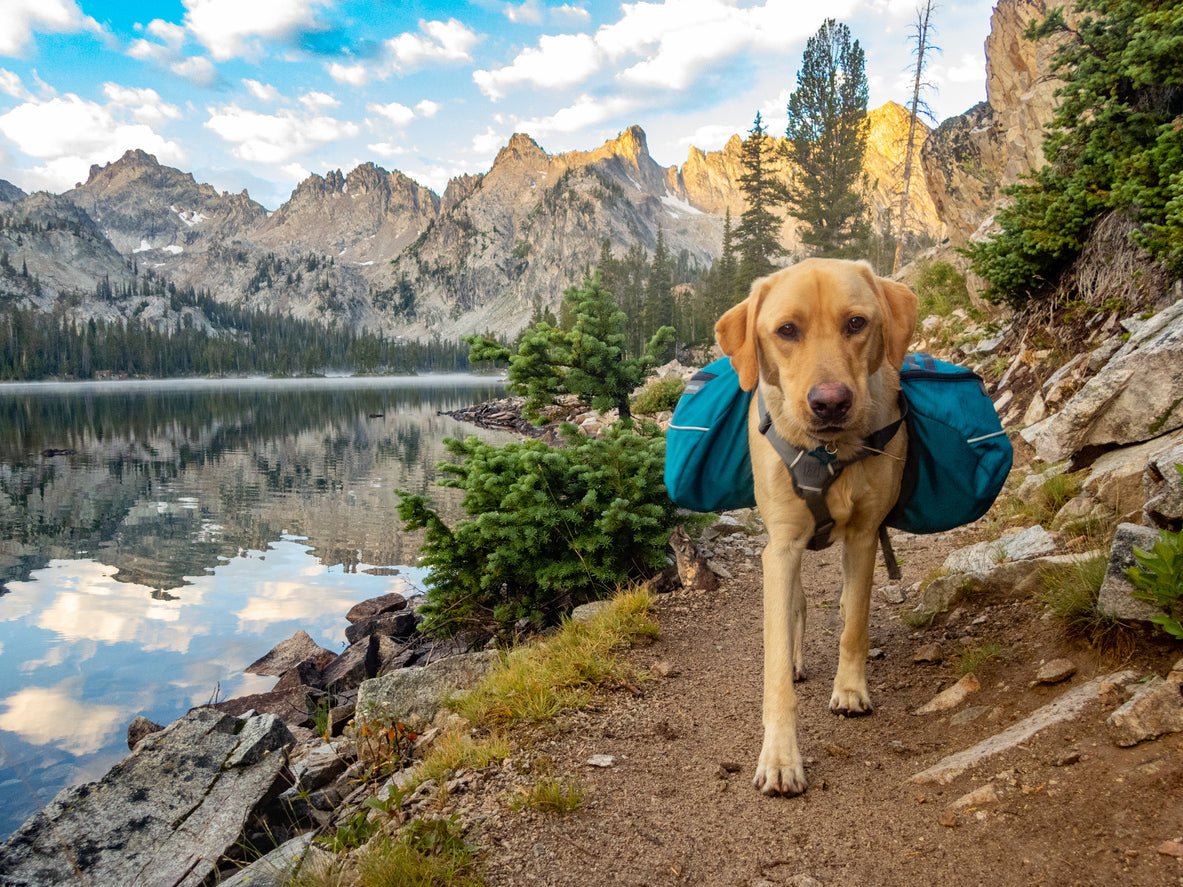 Family Outdoor Adventures Made Easy: Outdoor Gear Checklist for Beginners - Malo'o Racks