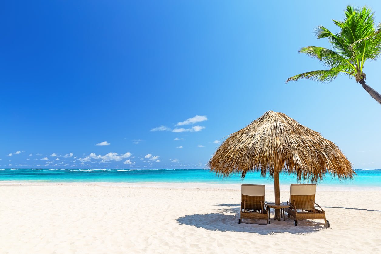 Stay Organized on the Go: Harnessing Car Storage for Beach Getaways - Malo'o Racks