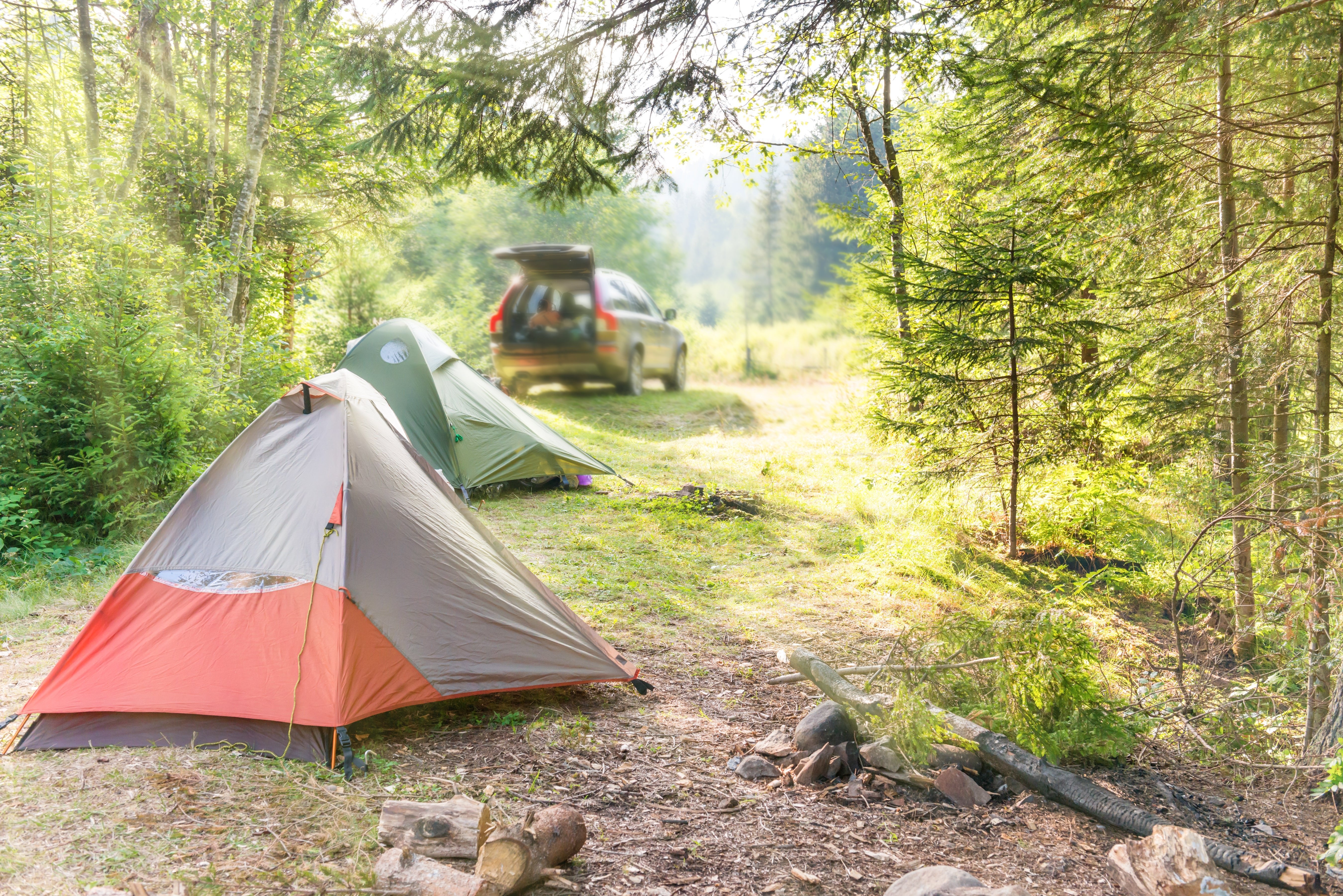 Top 12 Car Camping Essentials - Malo'o Racks