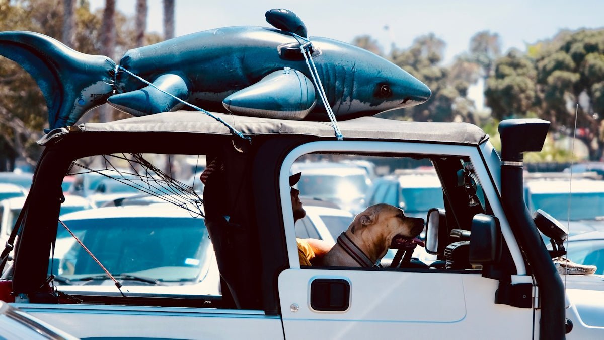 Top Ideas for DIY Surfboard Transport Without Breaking the Bank - Malo'o Racks
