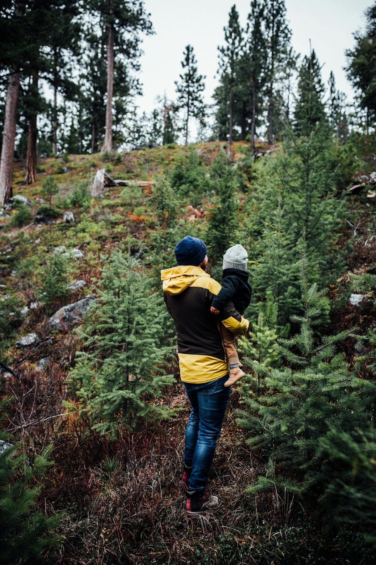 Top Tips for Selecting the Best Outdoor Gear for Families Exploring Nature - Malo'o Racks