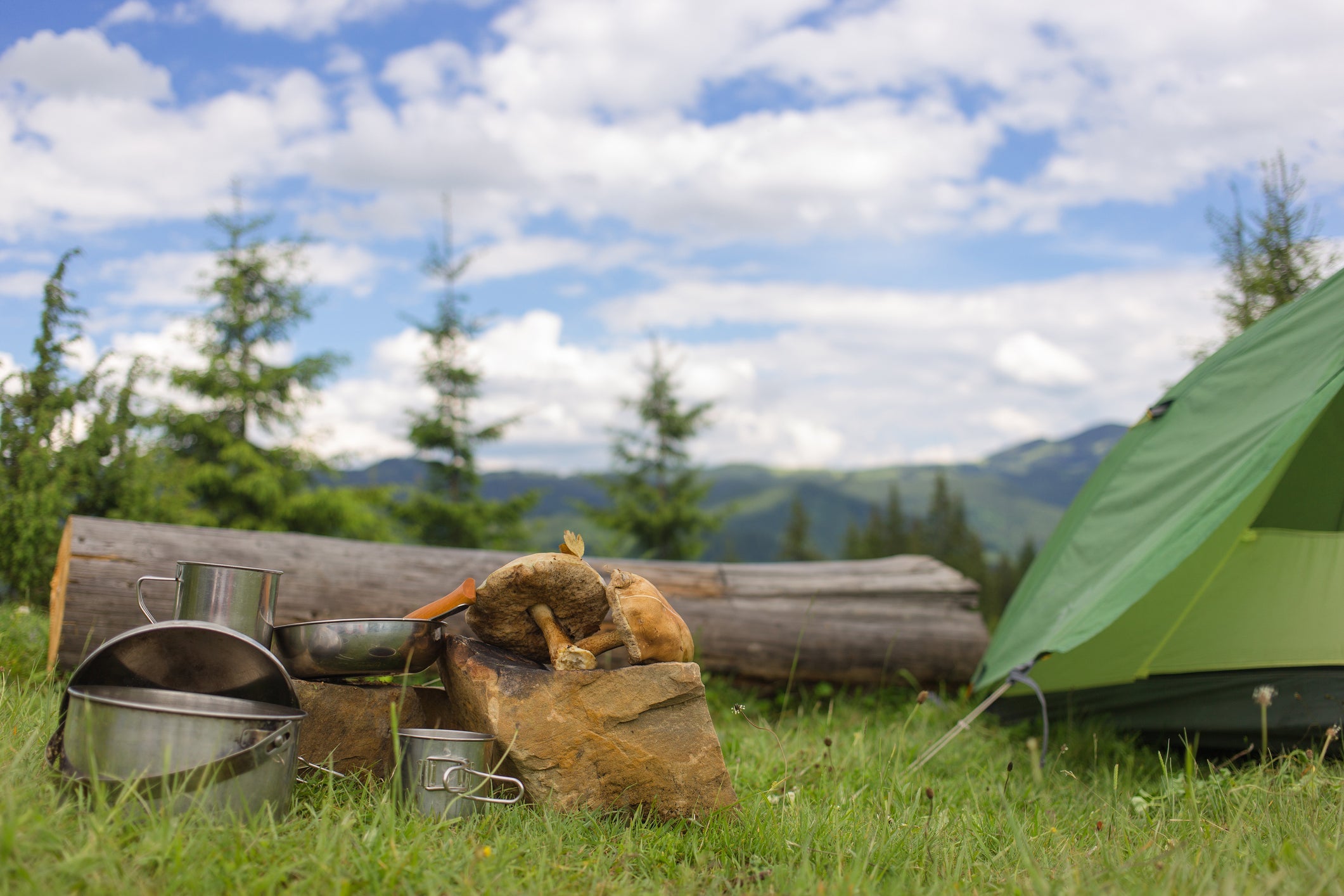 What characteristics make a great cooler backpack? - Malo'o Racks