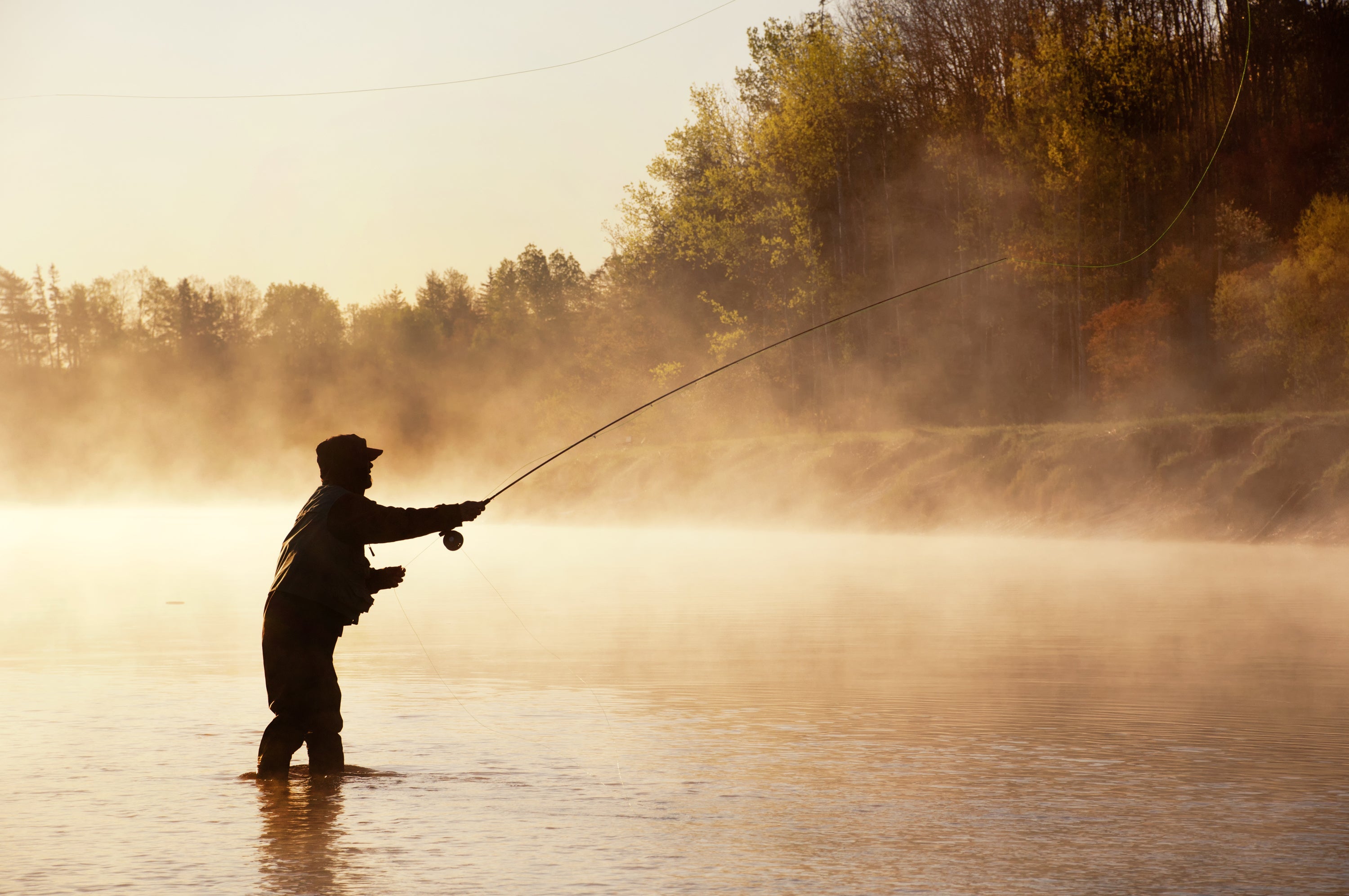 What the heck is fly fishing? Glad you asked! - Malo'o Racks