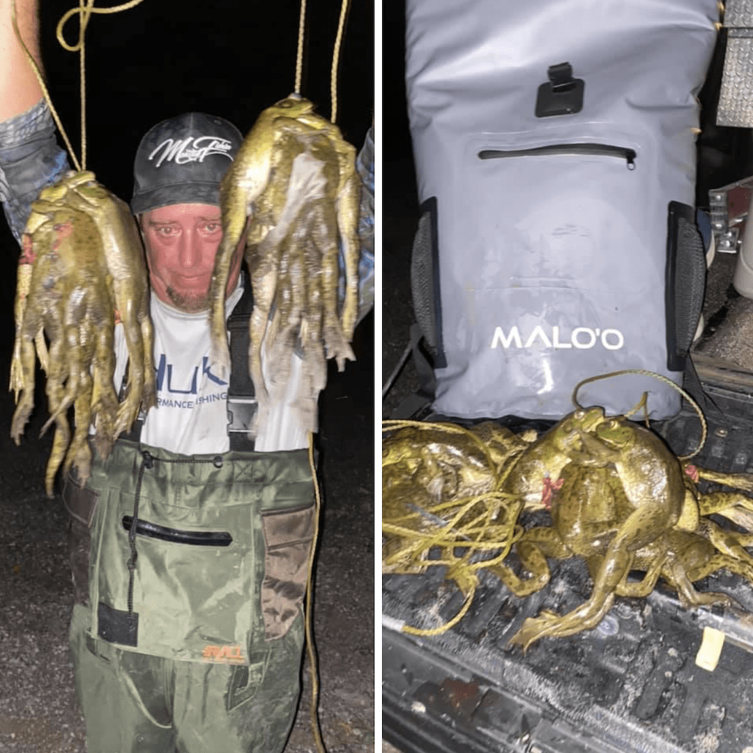 DryPack Backpack Cooler - Malo'o Racks